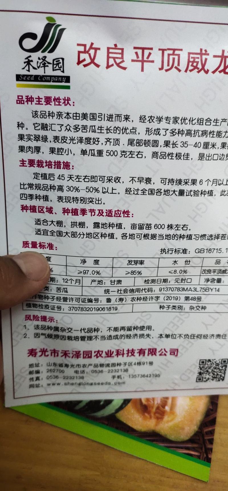 苦瓜种子改良平顶威龙苦瓜果肉厚，果腔小，