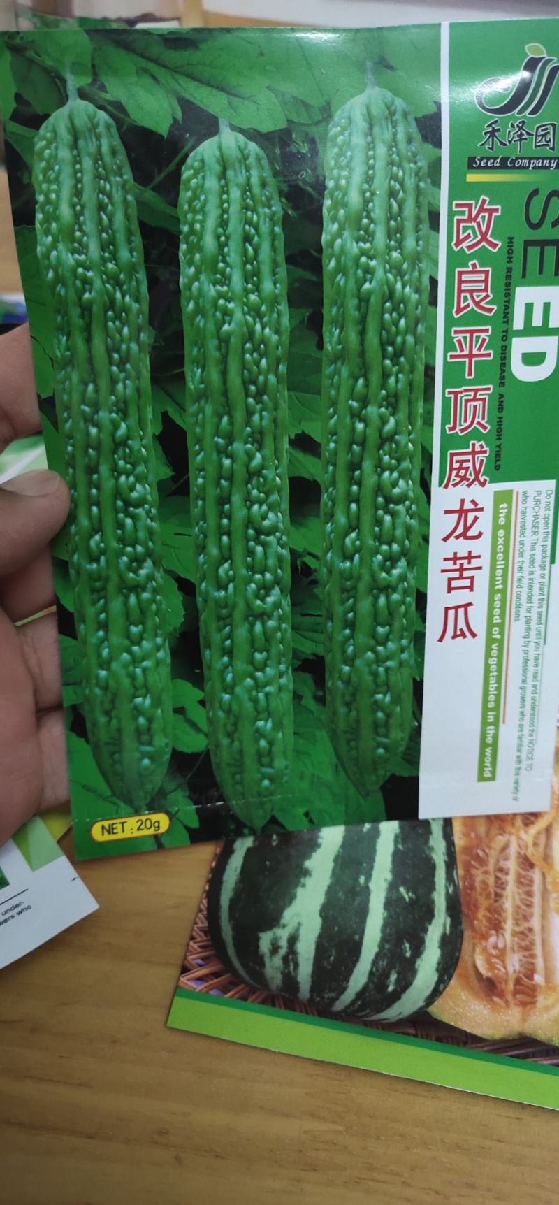 苦瓜种子改良平顶威龙苦瓜果肉厚，果腔小，
