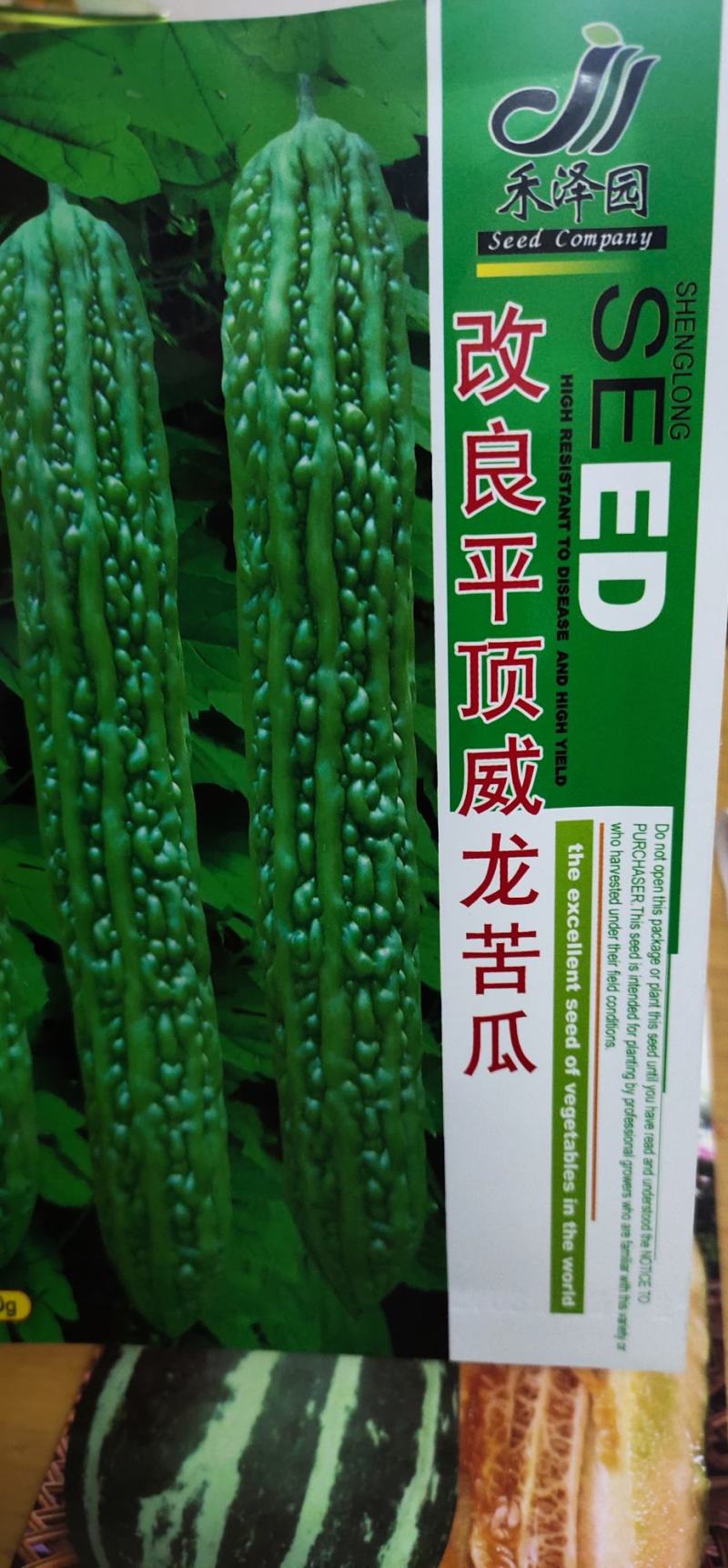 苦瓜种子改良平顶威龙苦瓜果肉厚，果腔小，