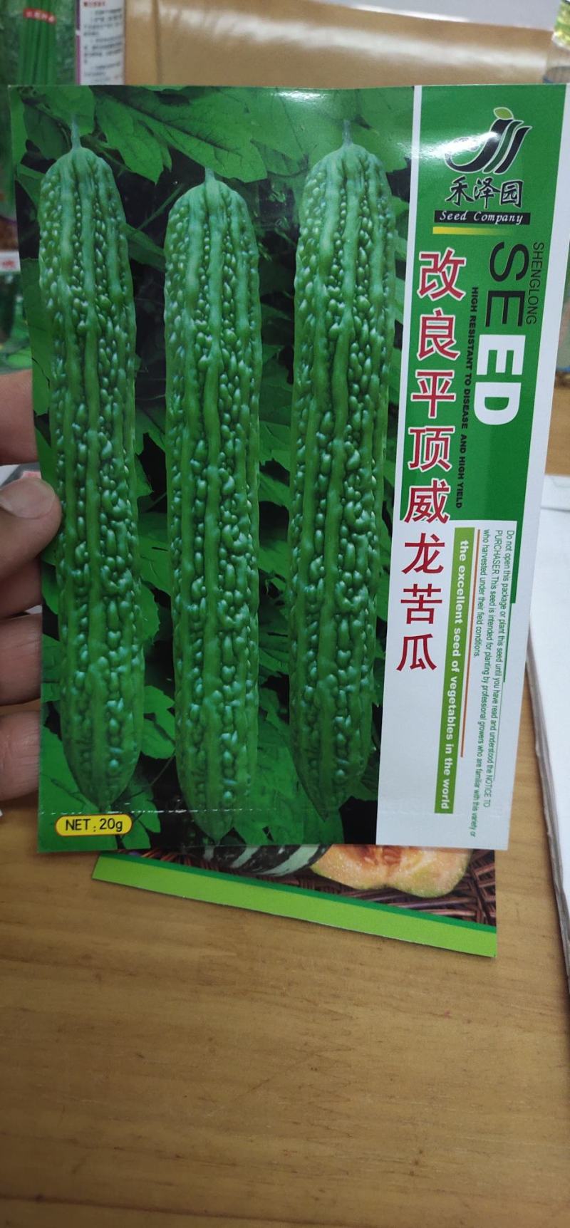 苦瓜种子改良平顶威龙苦瓜果肉厚，果腔小，