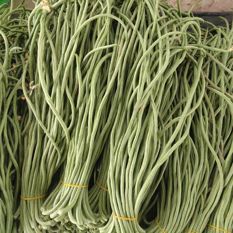 【豆角】大量豆角，产地直销，一手货源，现摘现收，无中间商