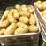山东荷兰十五土豆优质土豆山东土豆规格齐全价格便宜