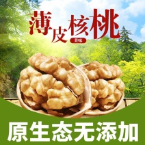 包邮特价批发新疆阿克苏薄皮生核桃散装原味干果零食一件代发