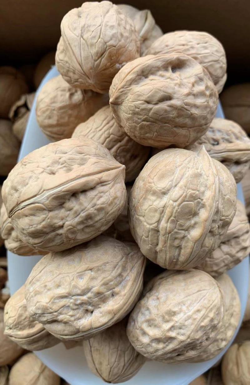 包邮批发新货新疆薄皮核桃原味生核桃散装干果量大优一件代发