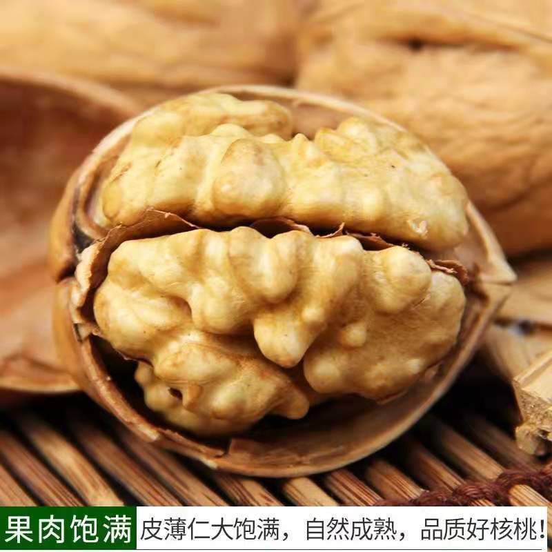 包邮批发新货新疆薄皮核桃原味生核桃散装干果量大优一件代发