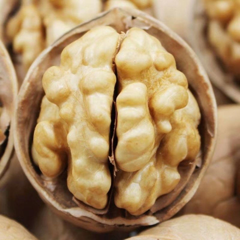 包邮批发新货新疆薄皮核桃原味生核桃散装干果量大优一件代发