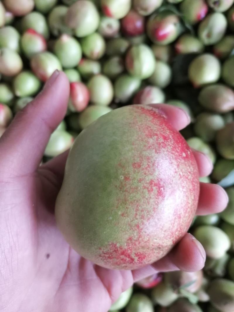 云南油桃，青果已经大量上市