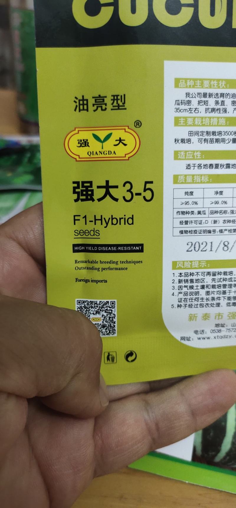 黄瓜种子瓜码密、把短、条直、密刺、瓜色深绿