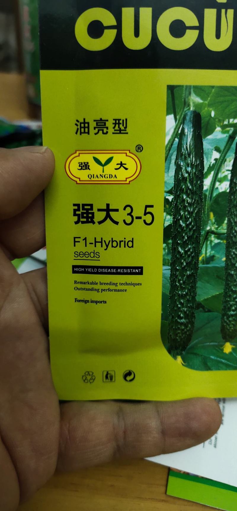 黄瓜种子瓜码密、把短、条直、密刺、瓜色深绿