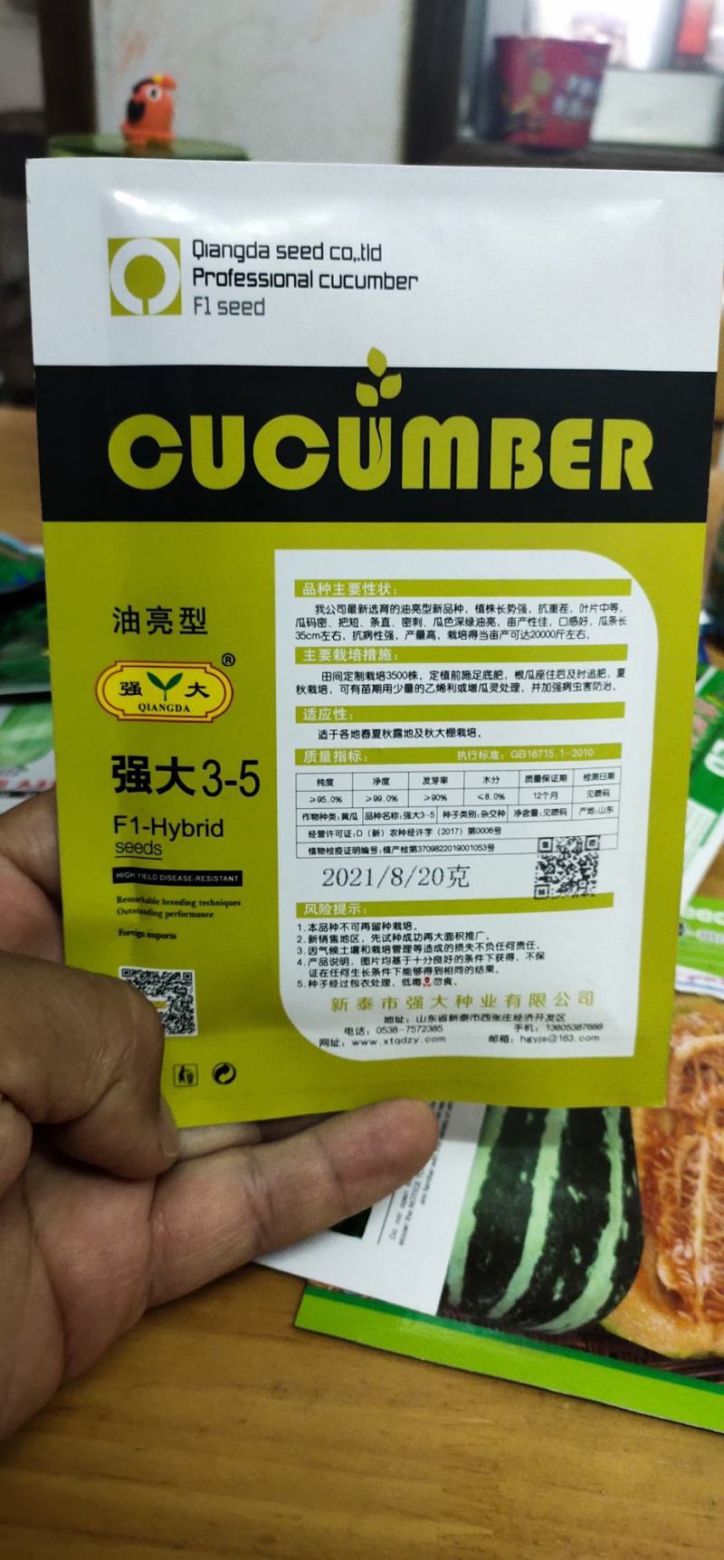 黄瓜种子瓜码密、把短、条直、密刺、瓜色深绿