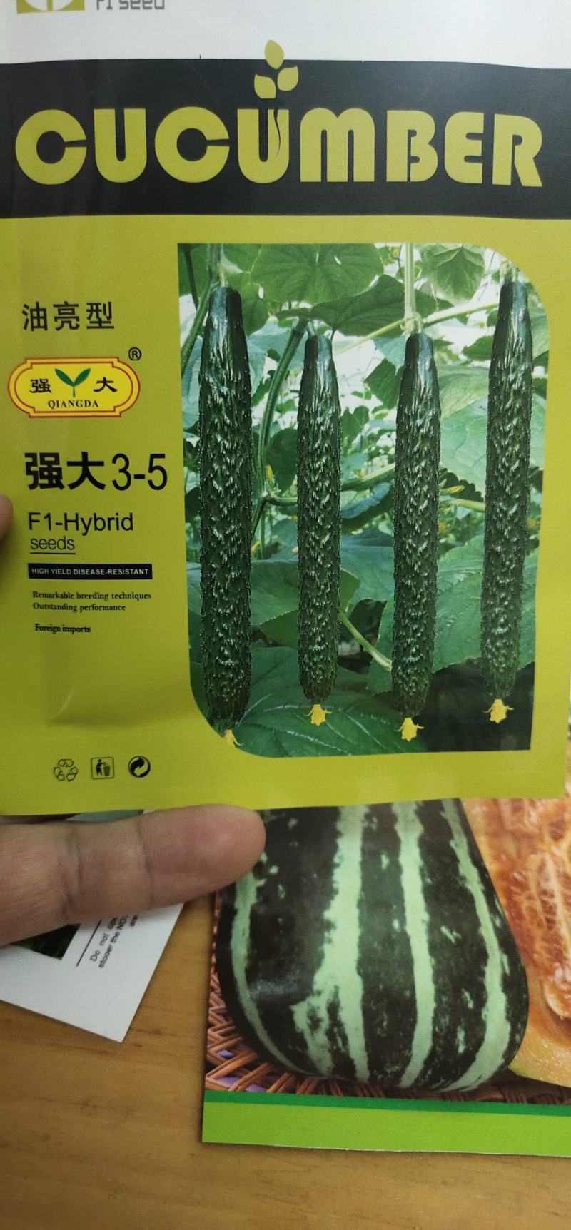 黄瓜种子瓜码密、把短、条直、密刺、瓜色深绿