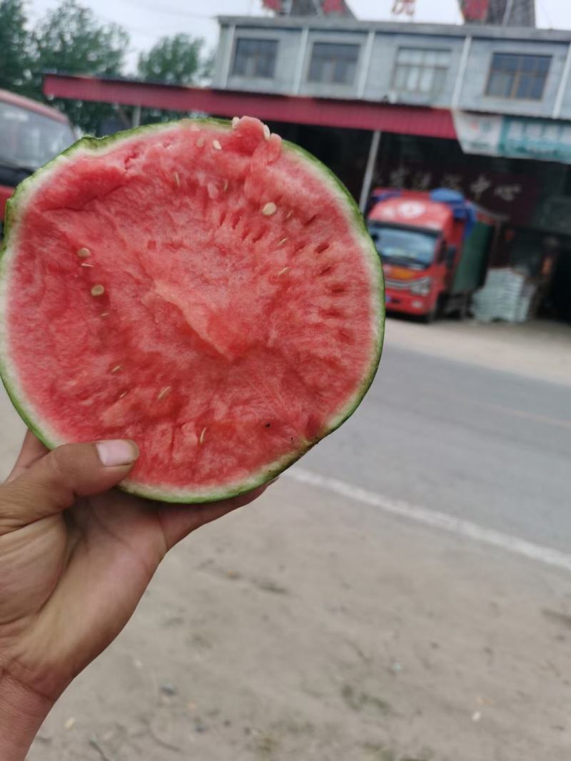 云南美都麒麟西瓜产地直供一手货源对接全国商标超