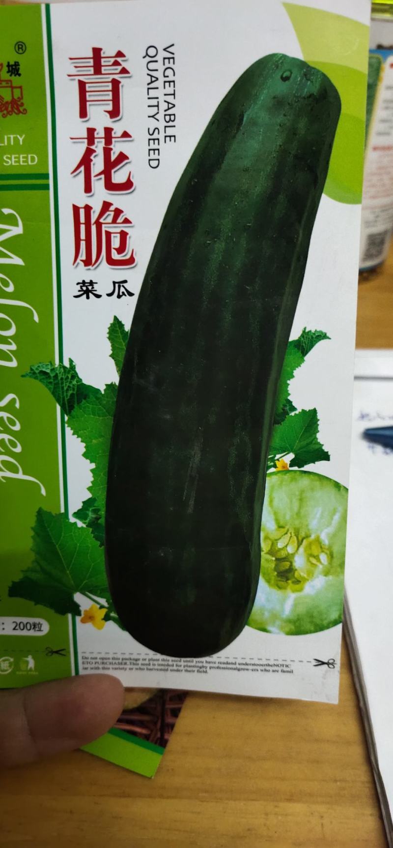 菜瓜种子青花脆耐高温果肉白色，肉质酥脆爽口，