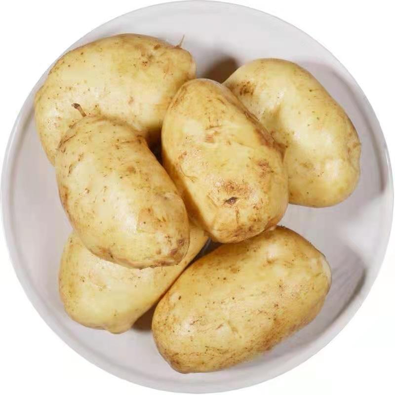 黄心土豆马铃薯产地直销看货论价保质保量欢迎订购