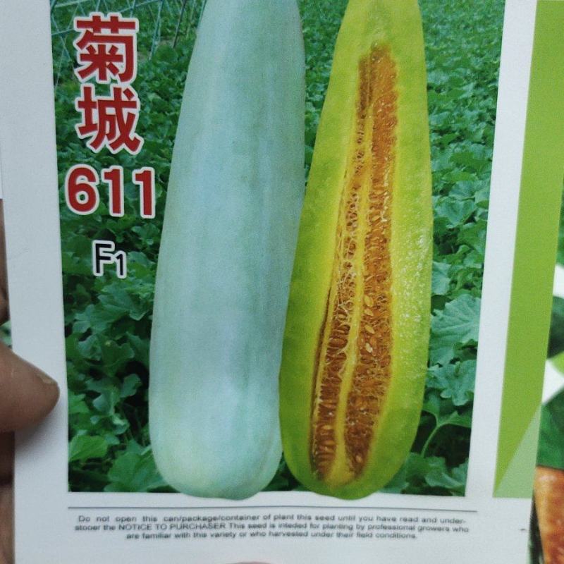 甜瓜种子菊城611易坐果，果形细棒状，果皮灰白色，