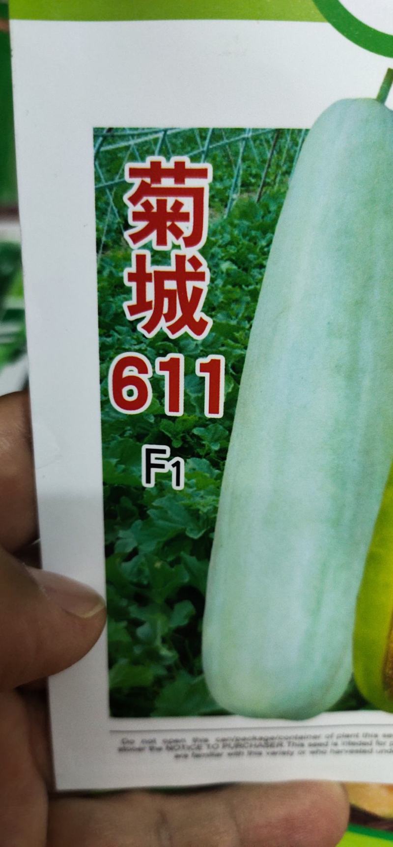 甜瓜种子菊城611易坐果，果形细棒状，果皮灰白色，