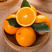 脐橙产地橙子看货论价支持发货欢迎订购
