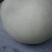 玉姑甜瓜