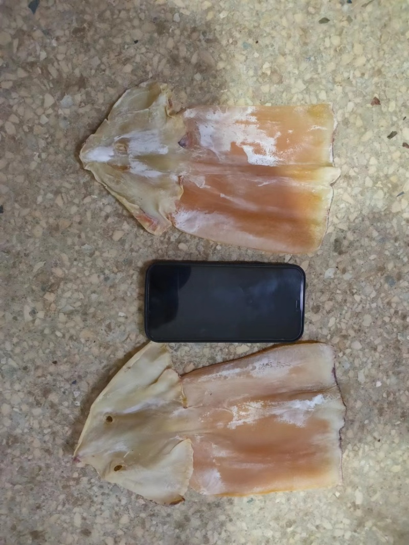 干度好的赤道鱿鱼干，盐干，淡干两种，老师付加工的