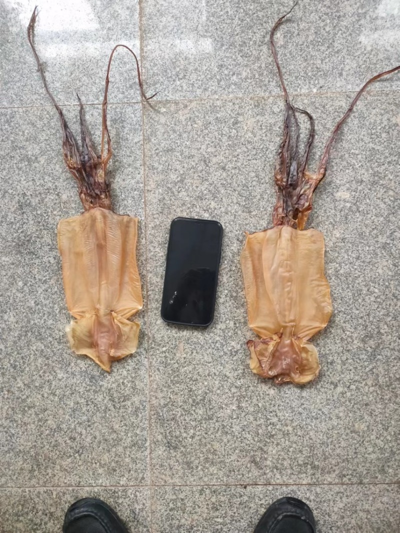 干度好的赤道鱿鱼干，盐干，淡干两种，老师付加工的