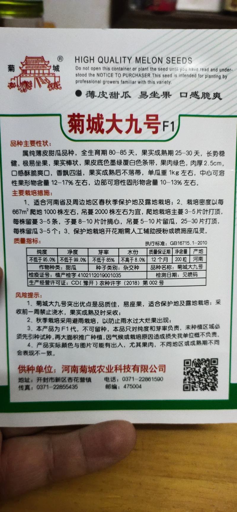 甜瓜种子菊城大九号薄皮甜瓜易坐果，果实成熟期25天