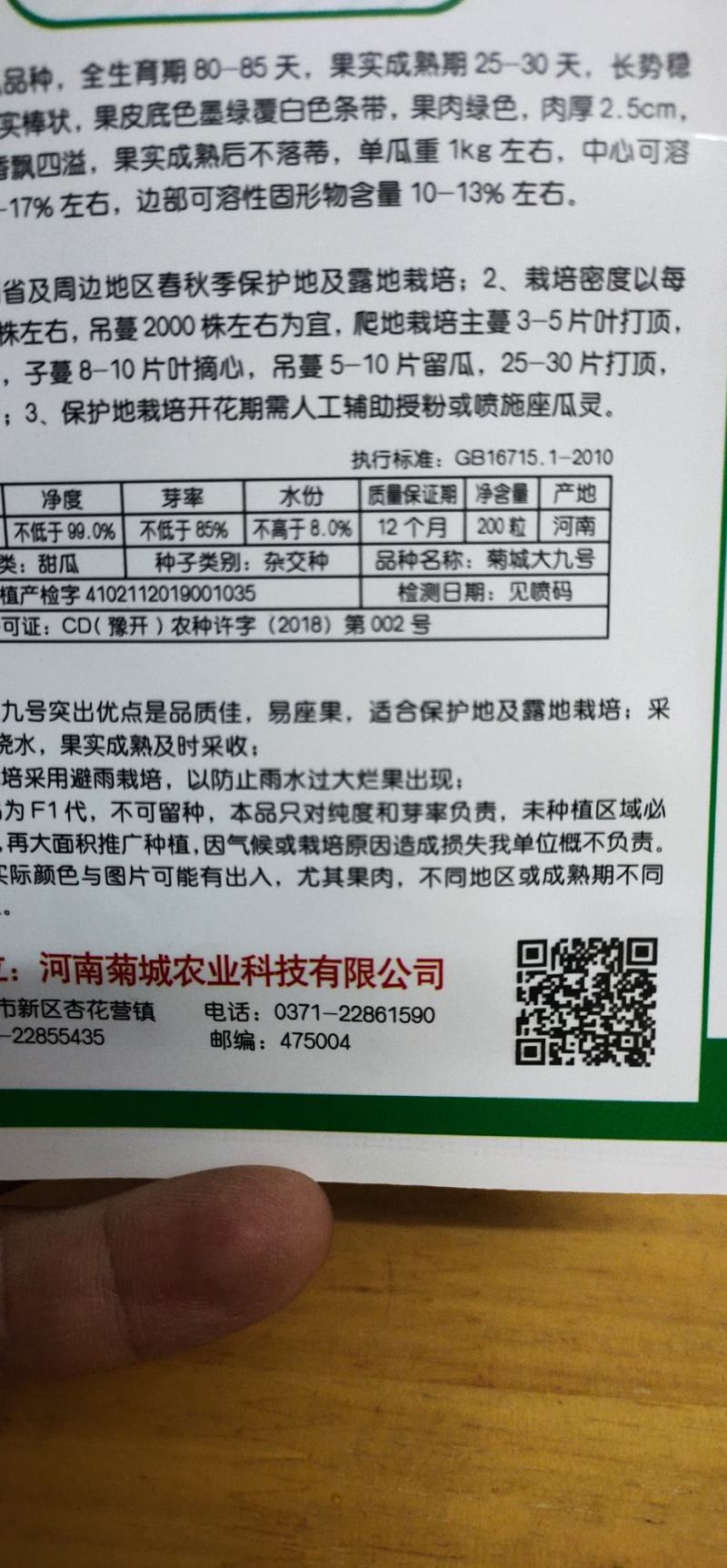 甜瓜种子菊城大九号薄皮甜瓜易坐果，果实成熟期25天