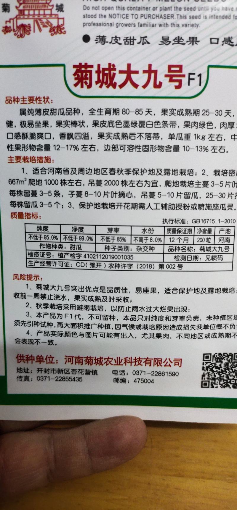甜瓜种子菊城大九号薄皮甜瓜易坐果，果实成熟期25天