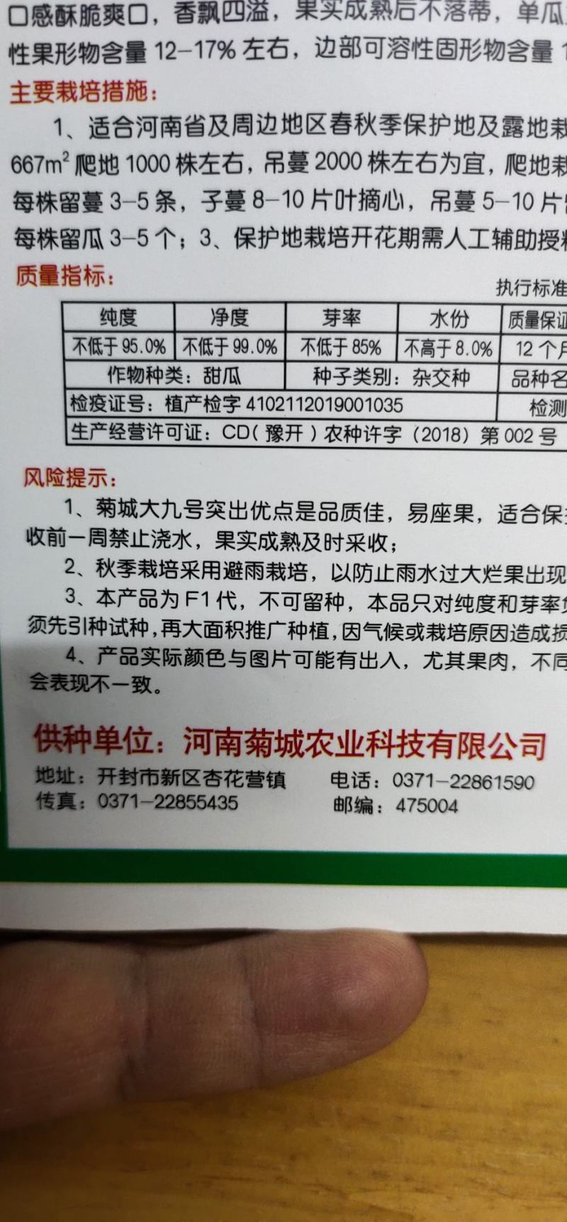 甜瓜种子菊城大九号薄皮甜瓜易坐果，果实成熟期25天