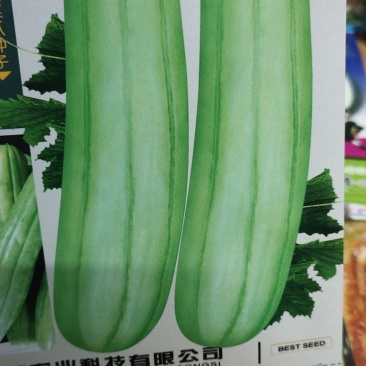 菜瓜种子青龙菜瓜，果肉脆。详细介绍请看包装说明谢谢！