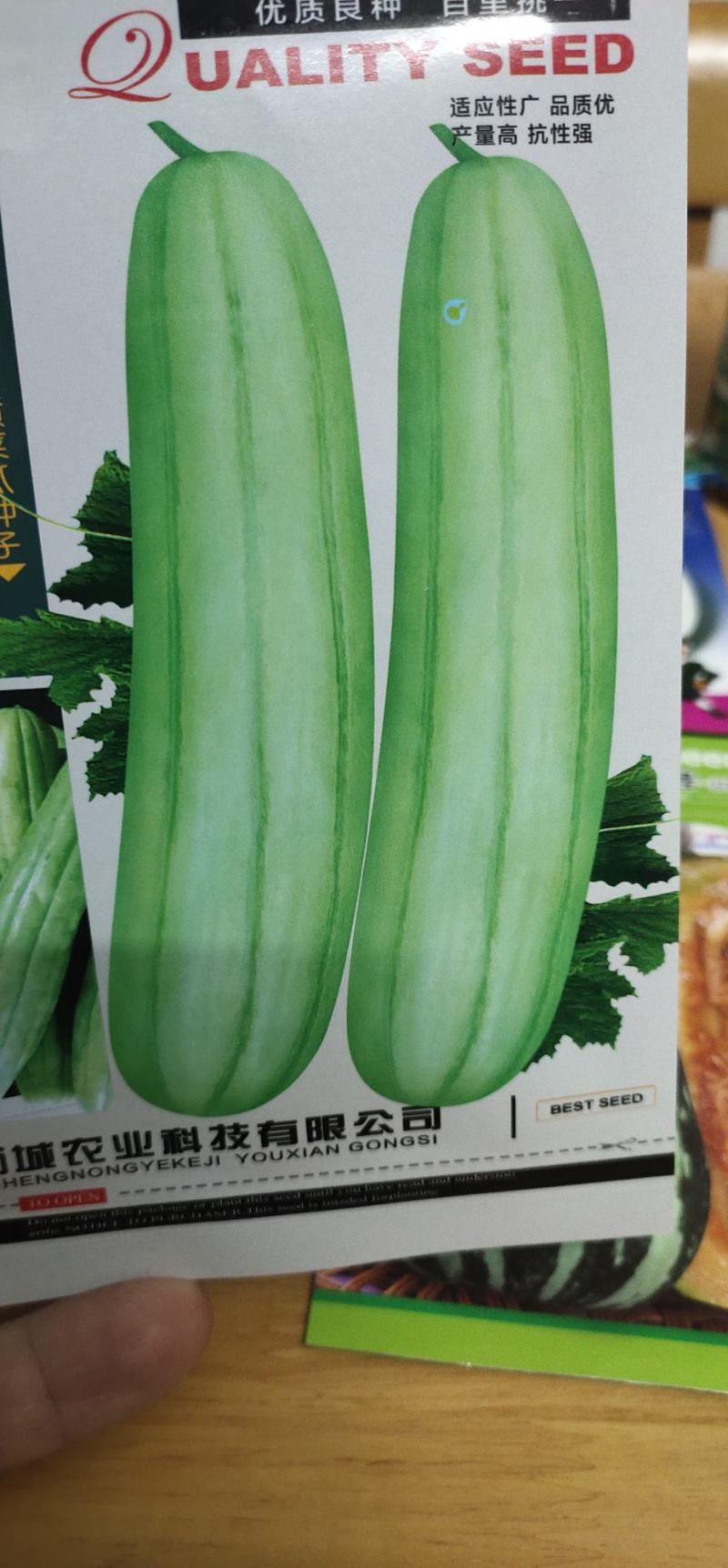 菜瓜种子青龙菜瓜，果肉脆。详细介绍请看包装说明谢谢！