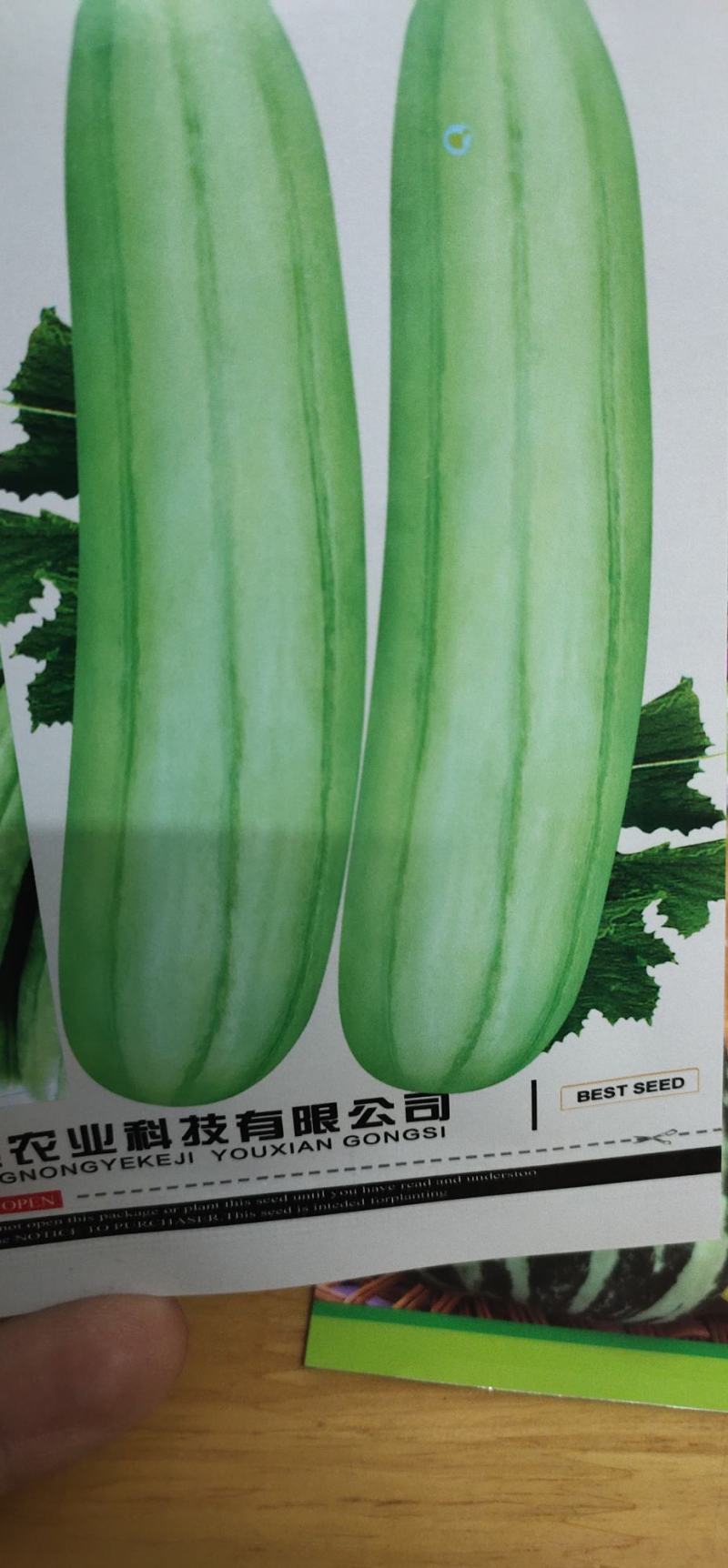 菜瓜种子青龙菜瓜，果肉脆。详细介绍请看包装说明谢谢！