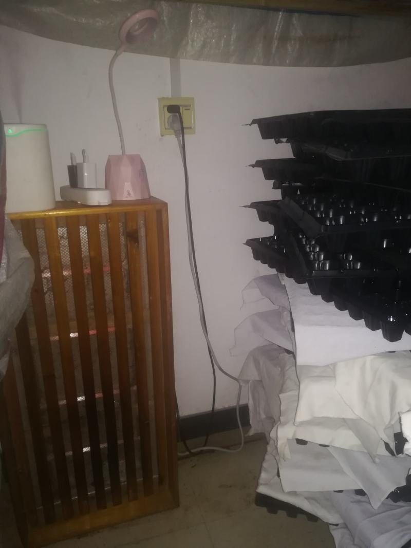 仓库的优质蛋白虫