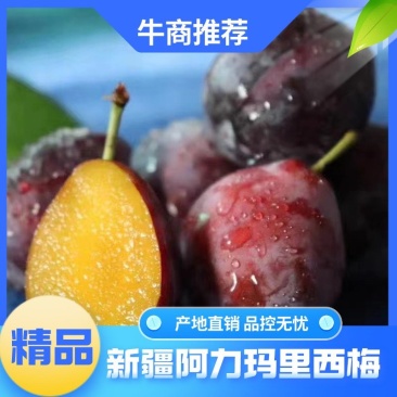 新疆阿力麻里优质西梅新鲜当季水果法兰西梅牛商推荐全国包邮