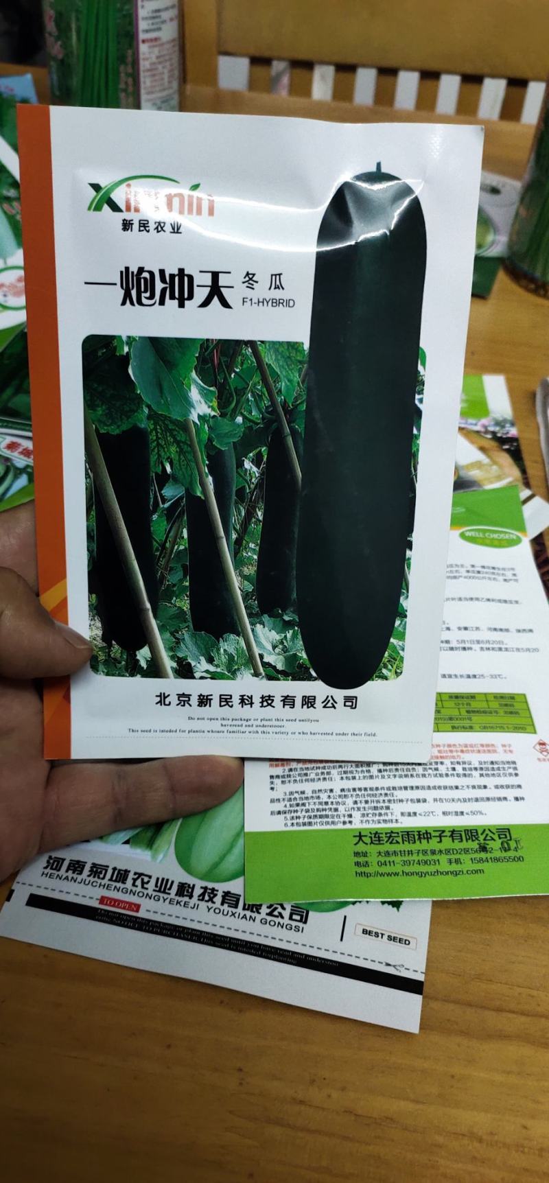 冬瓜种子一炮冲天生长势旺，中晚熟，坐瓜多，