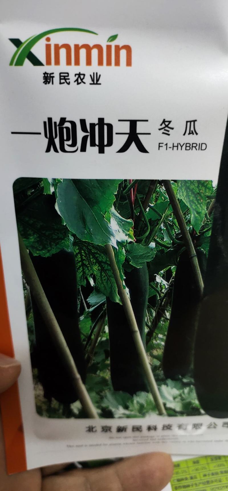 冬瓜种子一炮冲天生长势旺，中晚熟，坐瓜多，