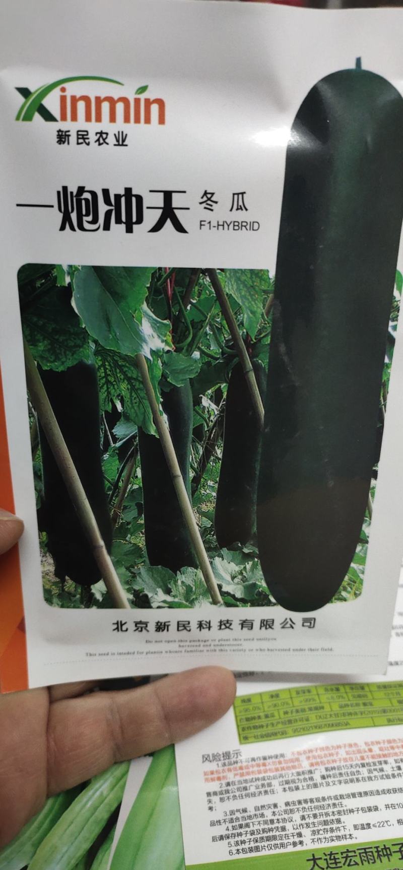 冬瓜种子一炮冲天生长势旺，中晚熟，坐瓜多，