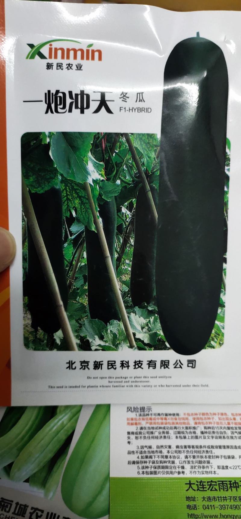 冬瓜种子一炮冲天生长势旺，中晚熟，坐瓜多，