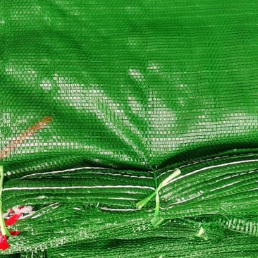 「精」蔬菜网袋洋葱网袋各种型号网袋大量供应中