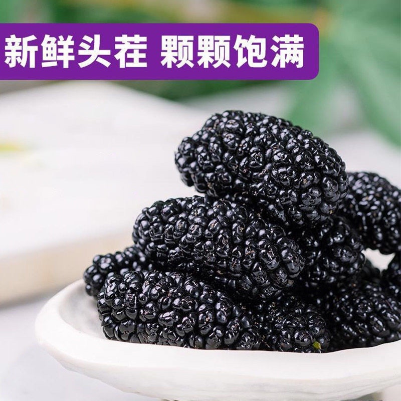 桑葚桑葚干水洗无沙干净无杂批发包邮