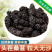 桑葚桑葚干水洗无沙干净无杂批发包邮