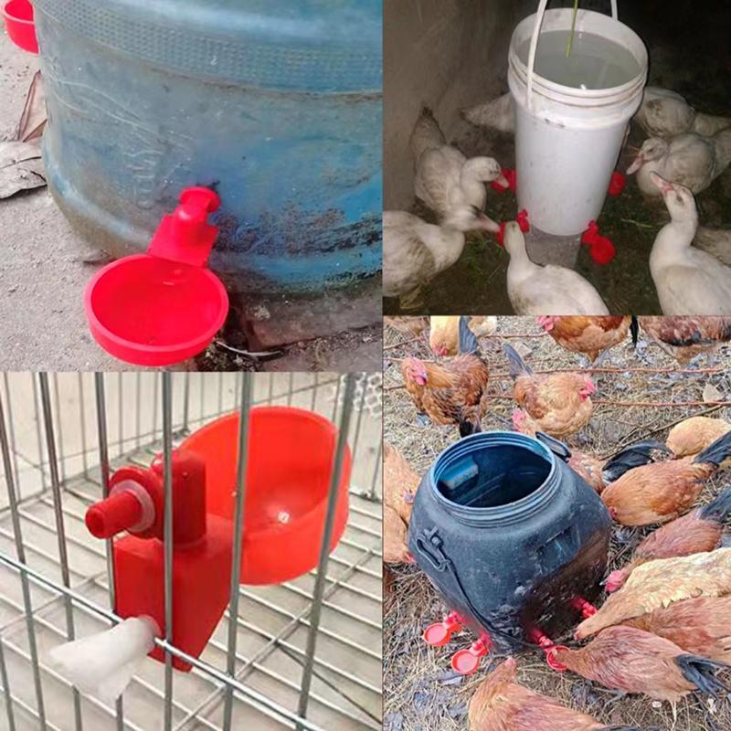 新型鸡鸭鹅鸽子鹌鹑自动饮水碗饮水器水满自停自动饮水器