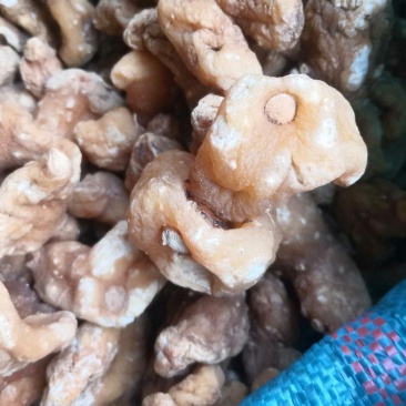 甜黄精