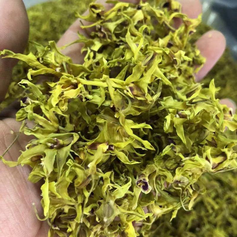 云南普洱铁皮石斛花