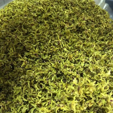 云南普洱铁皮石斛花