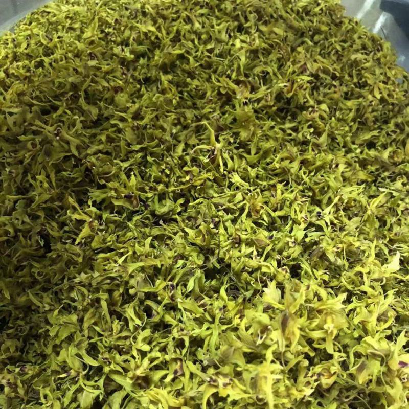 云南普洱铁皮石斛花