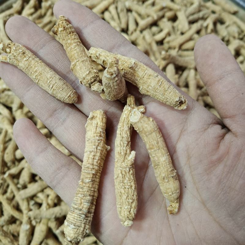 批发.西洋参条花旗参个子泡水煮汤山东文登西洋参段500克