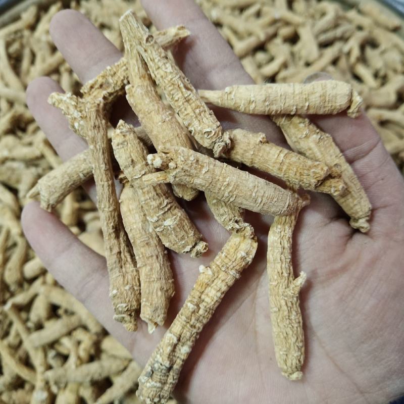 批发.西洋参条花旗参个子泡水煮汤山东文登西洋参段500克
