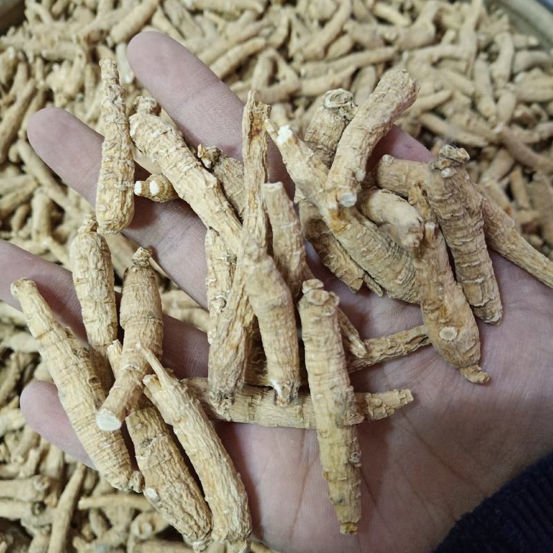 批发.西洋参条花旗参个子泡水煮汤山东文登西洋参段500克
