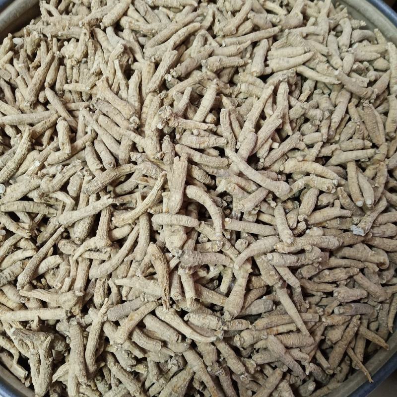 批发.西洋参条花旗参个子泡水煮汤山东文登西洋参段500克