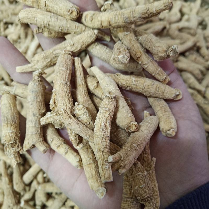 批发.西洋参条花旗参个子泡水煮汤山东文登西洋参段500克